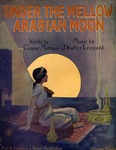 Under the Mellow Arabian Moon by Casper Nathan