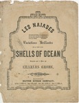 Shells Of Ocean by Charles Grobe