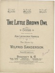 The Little Brown Owl