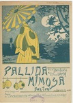 Pallina Mimosa