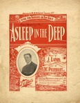 Asleep In The Deep by H. W. Petrie