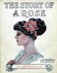 The Story Of A Rose