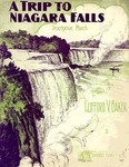 A trip to Niagara Falls