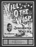 Will o' the wisp by Will B. Morrison