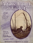 A Tiny Bunch Of Violets From No-Man's Land