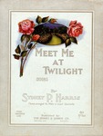 Meet Me At Twilight