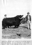 Aldrich Bros. champion bull