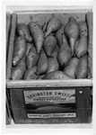 Covington sweet potatoes