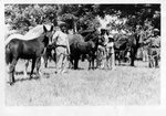 African-Americans with horses