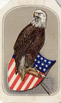 The New Picture of the Eagle. by Dunlop, Sewell, and Spalding