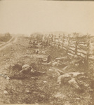 Photograph, Soldiers, Dead on Antietam Battlefield