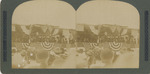 Senator Chauncey M. Depew Addressing the Multitude, Syracuse State Fair, 1903.