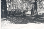 Four Vietnamese soldiers in the woods
