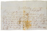 Bill of Sale of an Enslaved Person Named Steve by Duval Plant