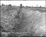 Man Standing in Ditch by Mississippi Agriculture and Forestry Experiment Station. Delta Branch, Stoneville