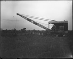 Crane 1 by Mississippi Agriculture and Forestry Experiment Station. Delta Branch, Stoneville