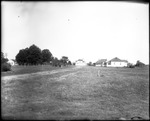 Western View 1 by Mississippi Agriculture and Forestry Experiment Station. Delta Branch, Stoneville