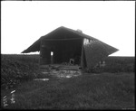 Damaged Cabin by Mississippi Agriculture and Forestry Experiment Station. Delta Branch, Stoneville