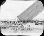 Cars Near Corn Field by Mississippi Agriculture and Forestry Experiment Station. Delta Branch, Stoneville