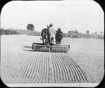 Mules Pulling Man by Mississippi Agriculture and Forestry Experiment Station. Delta Branch, Stoneville