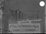 Nitrogen Test Exhibit 1 by Mississippi Agriculture and Forestry Experiment Station. Delta Branch, Stoneville