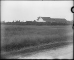 Farm buildings and field by Mississippi Agriculture and Forestry Experiment Station. Delta Branch, Stoneville