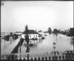 Flooded Station 4 by Mississippi Agriculture and Forestry Experiment Station. Delta Branch, Stoneville
