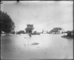 Flooded Station 9 by Mississippi Agriculture and Forestry Experiment Station. Delta Branch, Stoneville