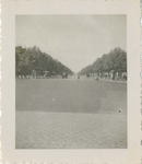 Avenue des Champs-Élysées, France, 1945