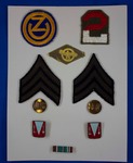 Army Insignia and Memorabilia