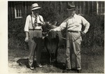 Two Men With A Cow