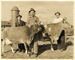 Gale Carr and Two Dairy Workers with Two Cows