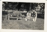A Cow, a Calf, and Two Dairy Workers