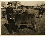 Gale Carr With a Cow