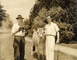 A Man Holding an Award with a Cow and a Dairy Worker