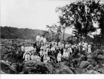 A.A.A. Southern Division picnic on the Potomac