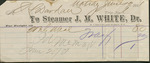 Receipt for Meal on Steamer, J. M. White, Trip No. 1, June 25, 1881