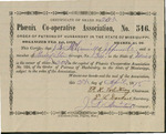 Stock Certificate Share 205, Phoenix Cooperative Association, No. 516, April 25, 1880