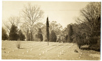 National Cemetery by Charles Johnson Faulk Jr.