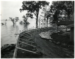Mississippi River Flood by Charles Johnson Faulk Jr.