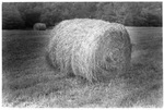 Hay bales by Charles Johnson Faulk Jr.