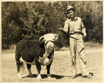 A young male and cow by Charles Johnson Faulk Jr.