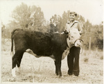 Livestock show by Charles Johnson Faulk Jr.
