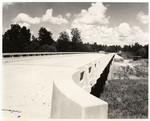 Bridge by Charles Johnson Faulk Jr.