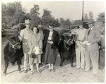 King Meritt and cattle by Charles Johnson Faulk Jr.