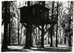 Tree house by Charles Johnson Faulk Jr.