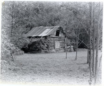 Cabin house by Charles Johnson Faulk Jr.