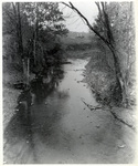 Bear Creek by Charles Johnson Faulk Jr.