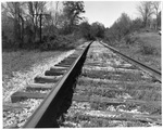 Railroad tracks by Charles Johnson Faulk Jr.