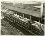 Train Cars Carrying Logs (24 pieces wide) by Charles Johnson Faulk Jr.
